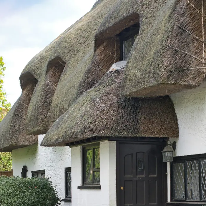 A white thatched cottage with leaded windows and a dark front door